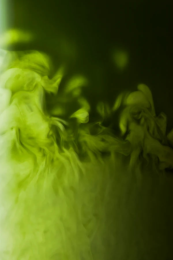 Matcha Cérémonie Vanille